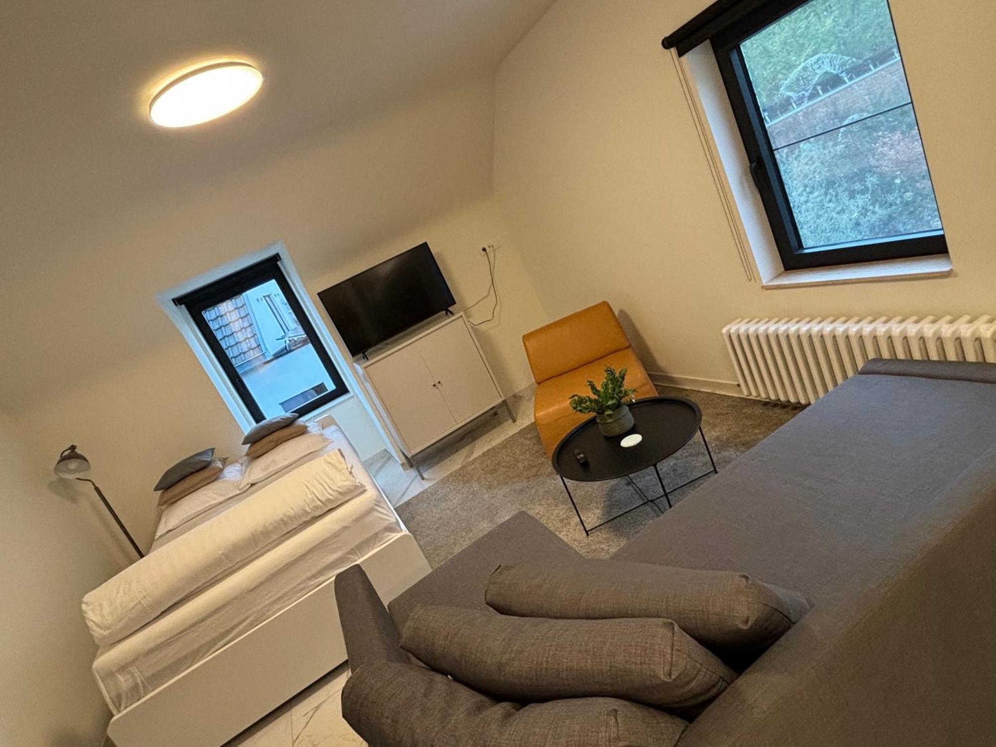 Nummer 151 Villastudios 哈瑟尔特 外观 照片